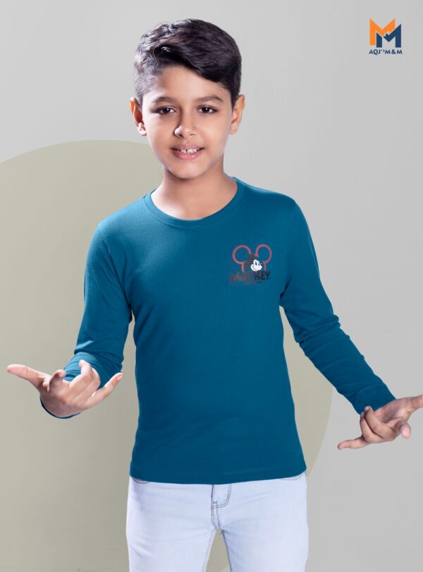 Blue color For Boys Full Sleeves and a fashionable style T-Shirt.