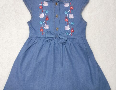 Girls Blue Embroidered Fit and Flare Dress