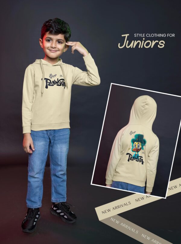 Boys Kids Printed Full Sleeves Hooded Cotton Pullover T-shirt